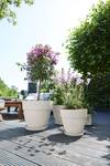 vibia campana round 40cm silky white